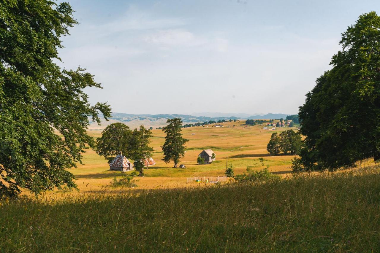 Highlander'S House Villa Žabljak Екстериор снимка