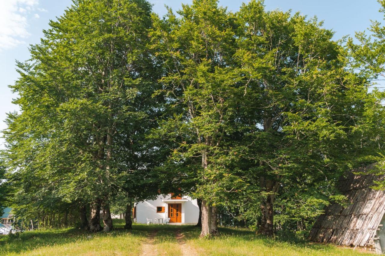 Highlander'S House Villa Žabljak Екстериор снимка
