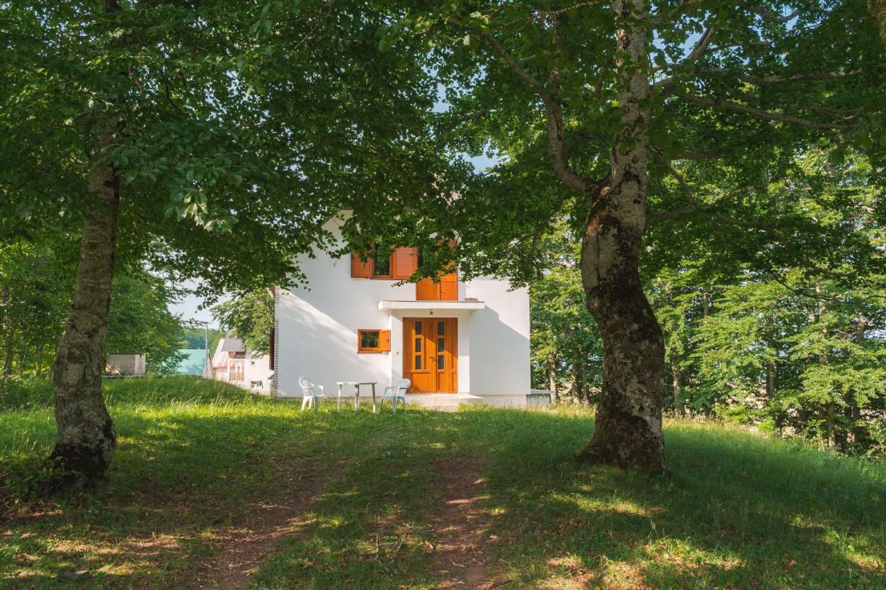 Highlander'S House Villa Žabljak Екстериор снимка