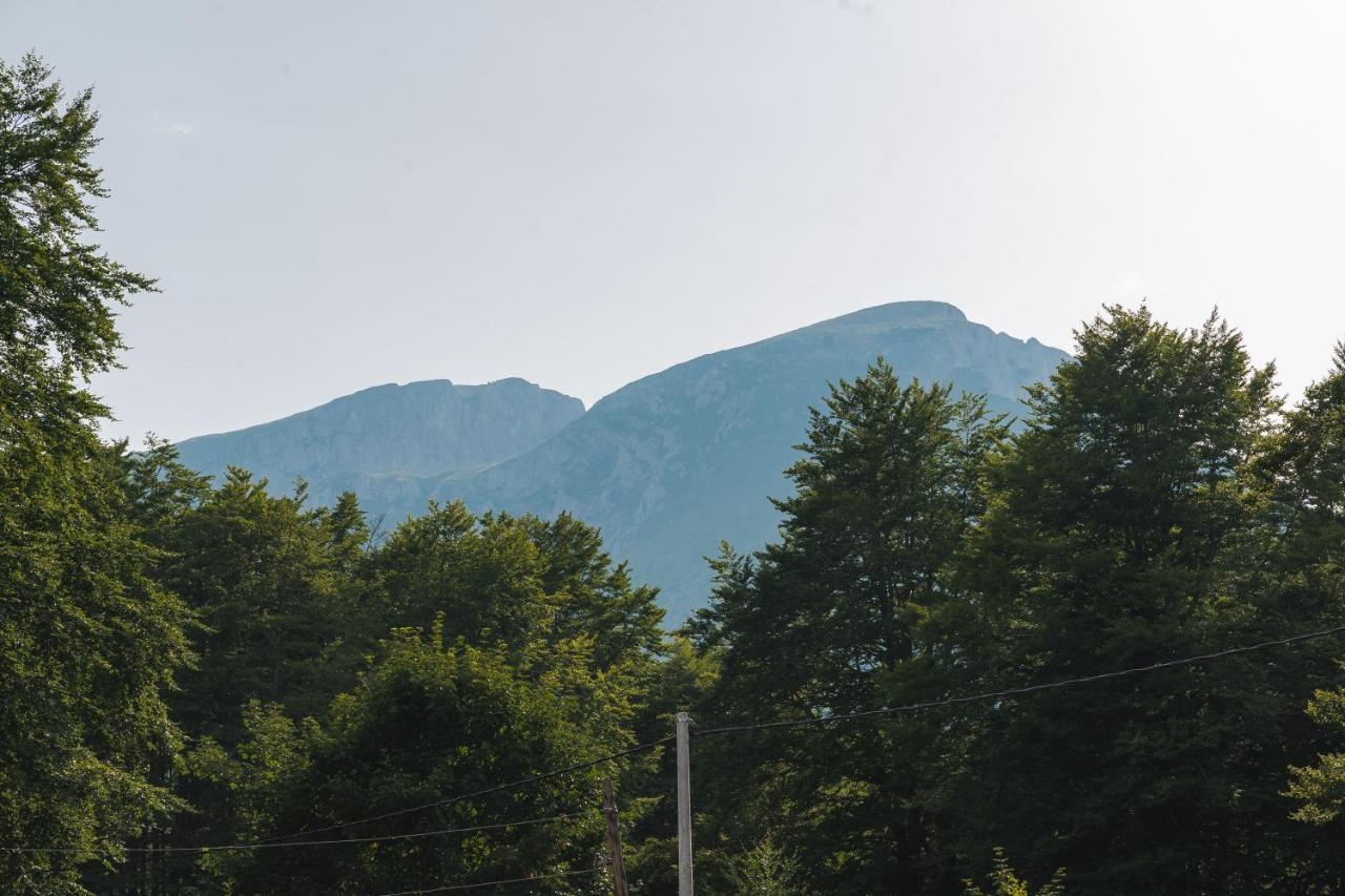 Highlander'S House Villa Žabljak Екстериор снимка